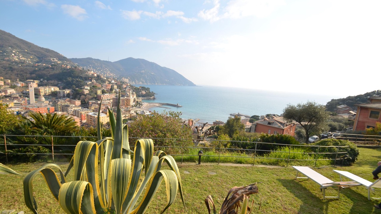 Photo of Outdoor in Recco