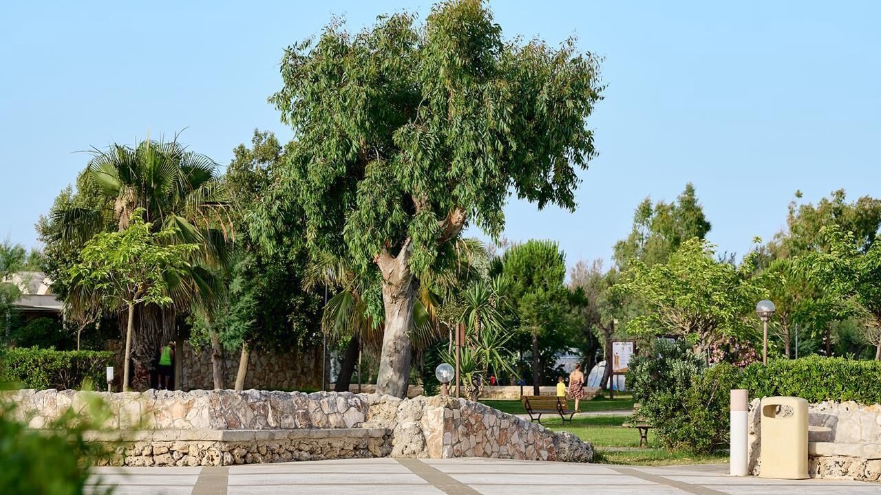 Photo of Outdoor in Torre Rinalda