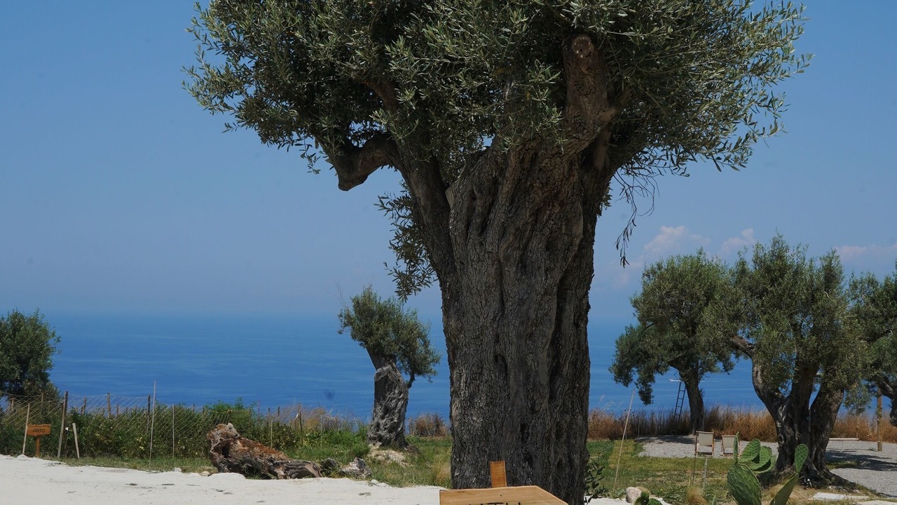 Photo of Others in Briatico