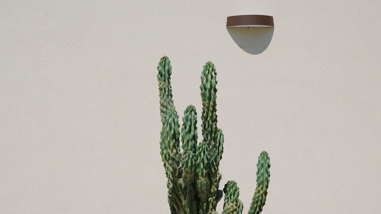 Photo of Outdoor in Briatico