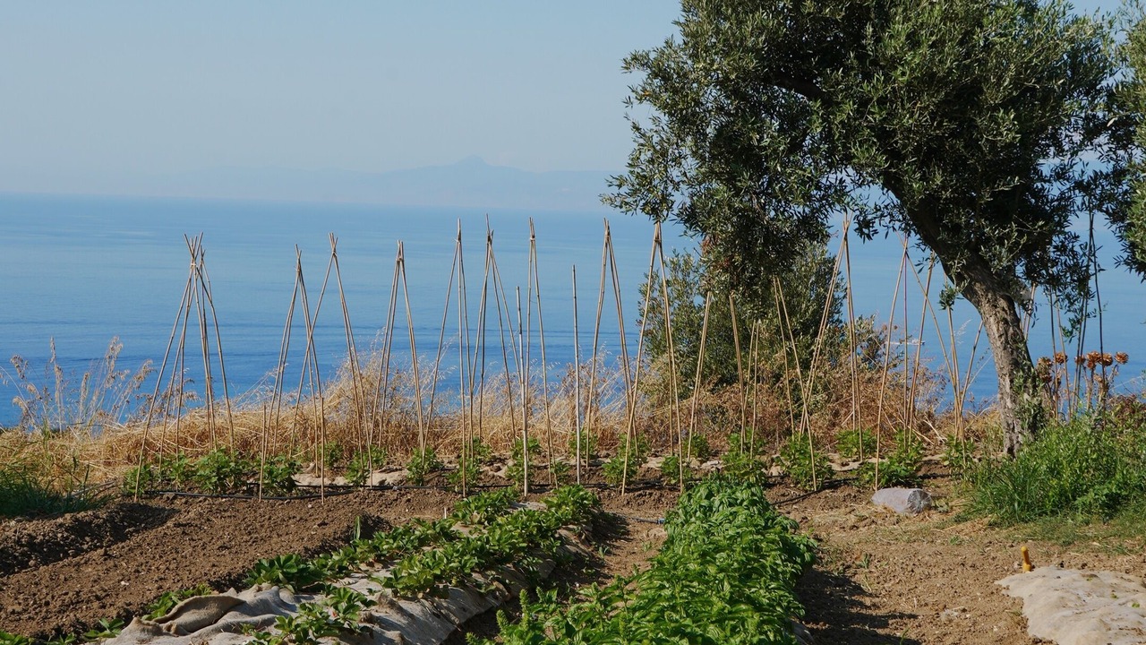 Photo of Others in Briatico