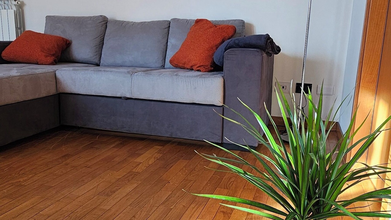 Photo of Livingroom in Vigevano
