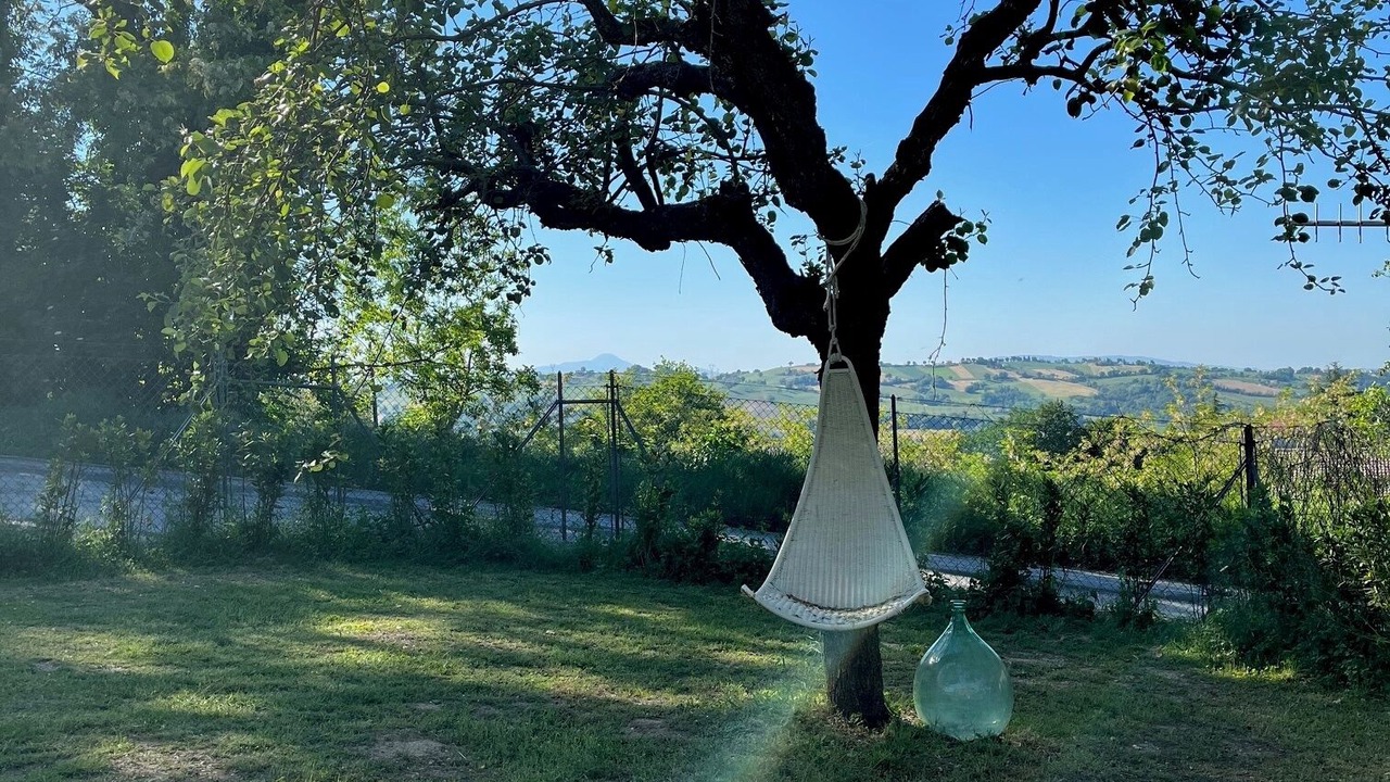 Photo of Outdoor in SantʼAngelo in Pontano
