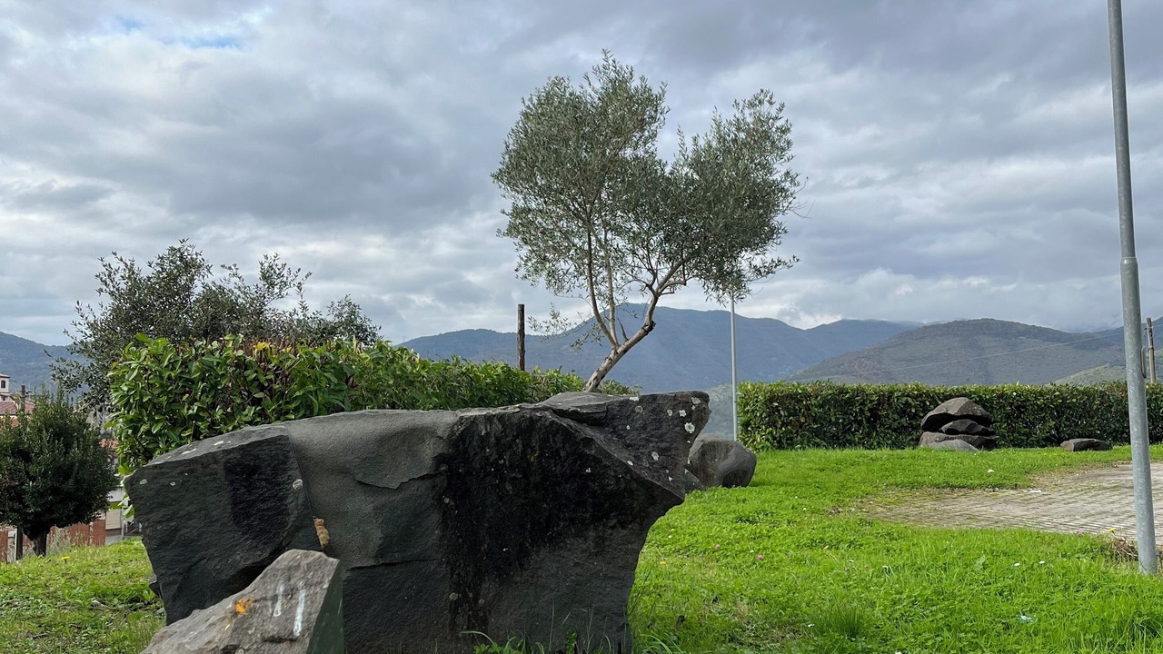 Photo of Others in Giuliano di Roma