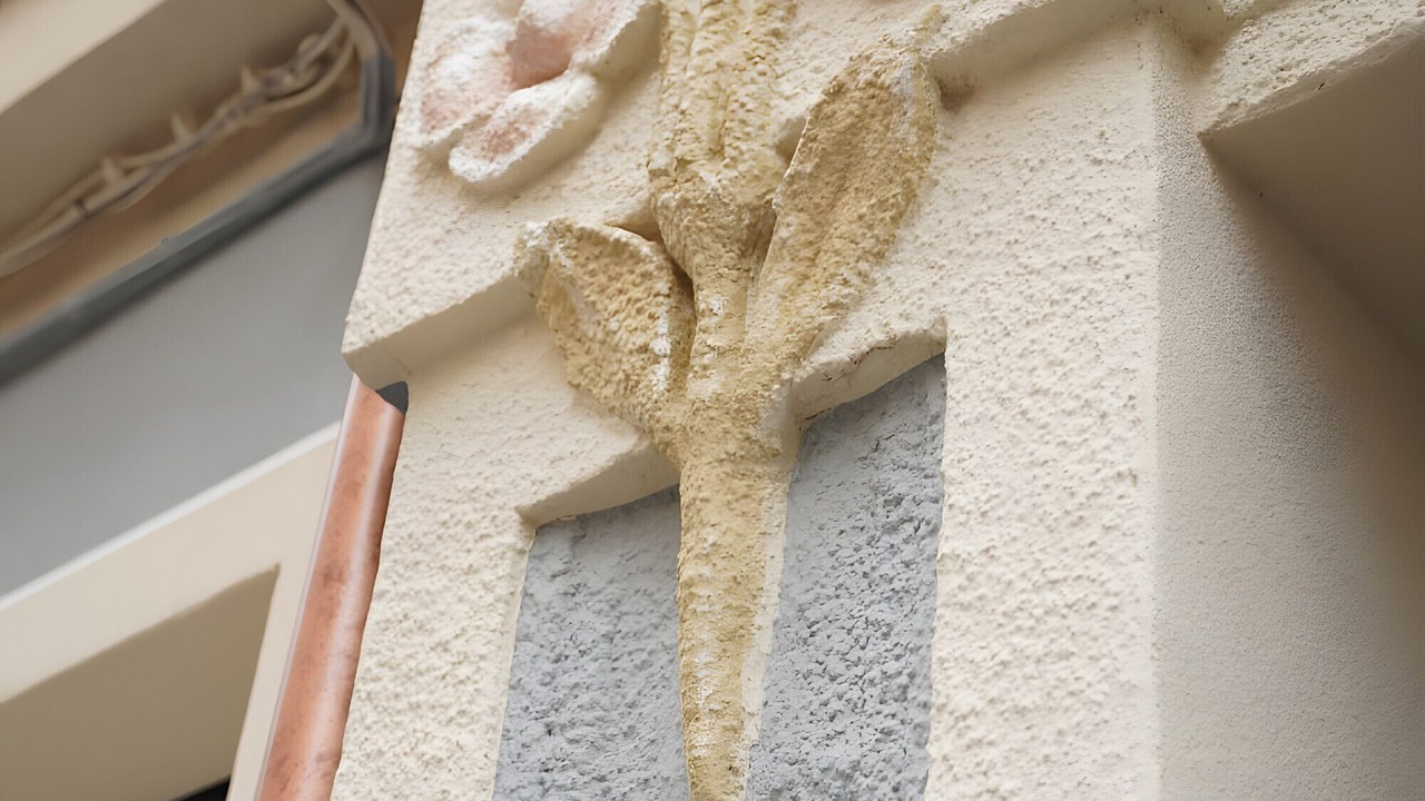 Photo of Outdoor in Savona