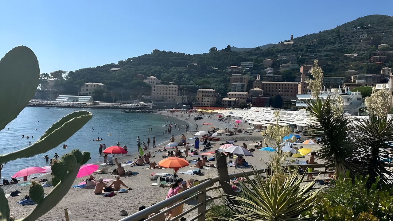 Photo of Others in Recco