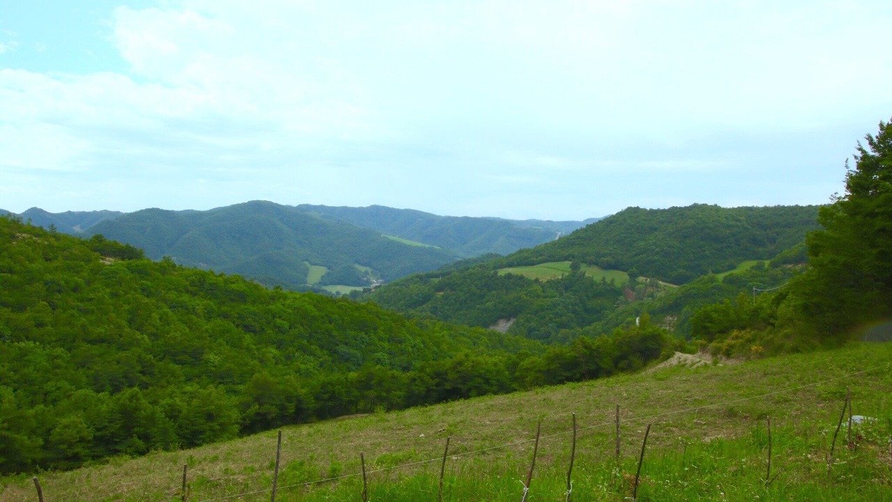 Photo of Others in Mercatello sul Metauro