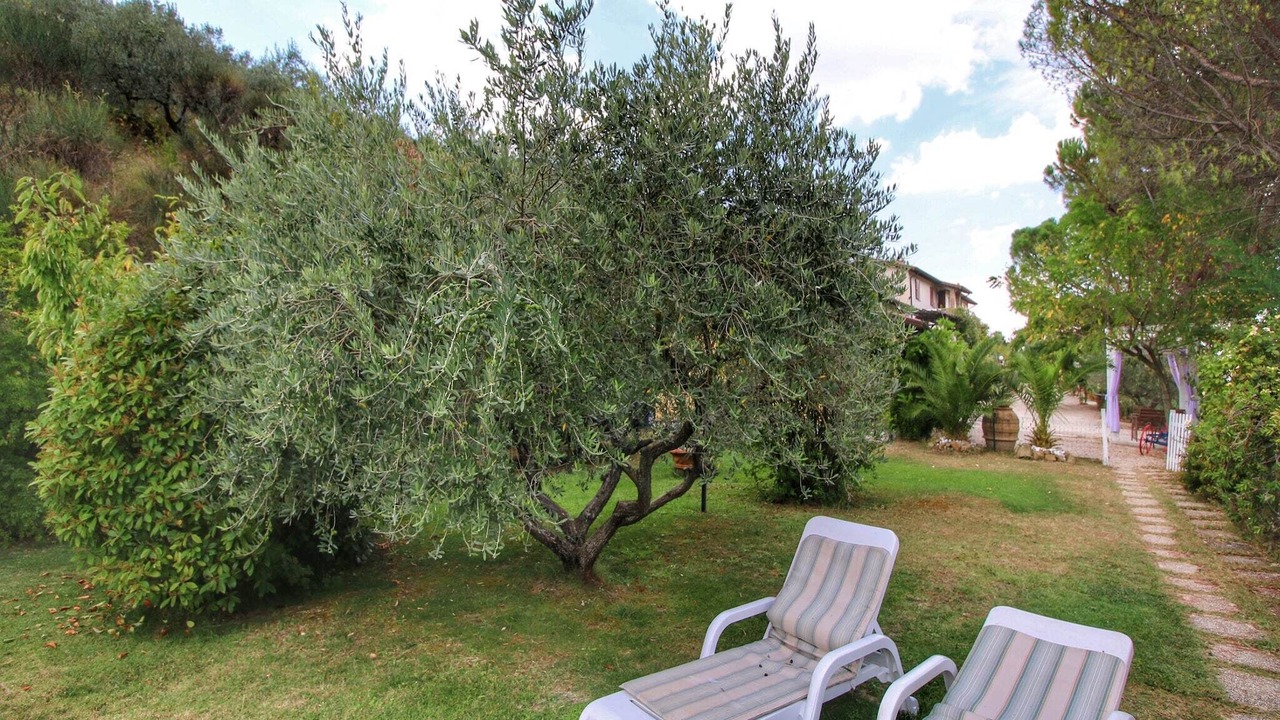 Photo of Outdoor in Bettona