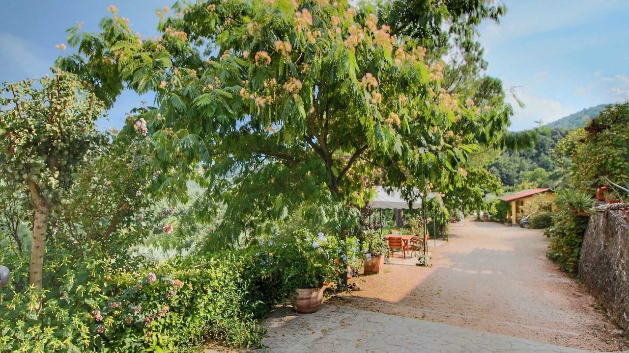 Photo of Outdoor in Bettona