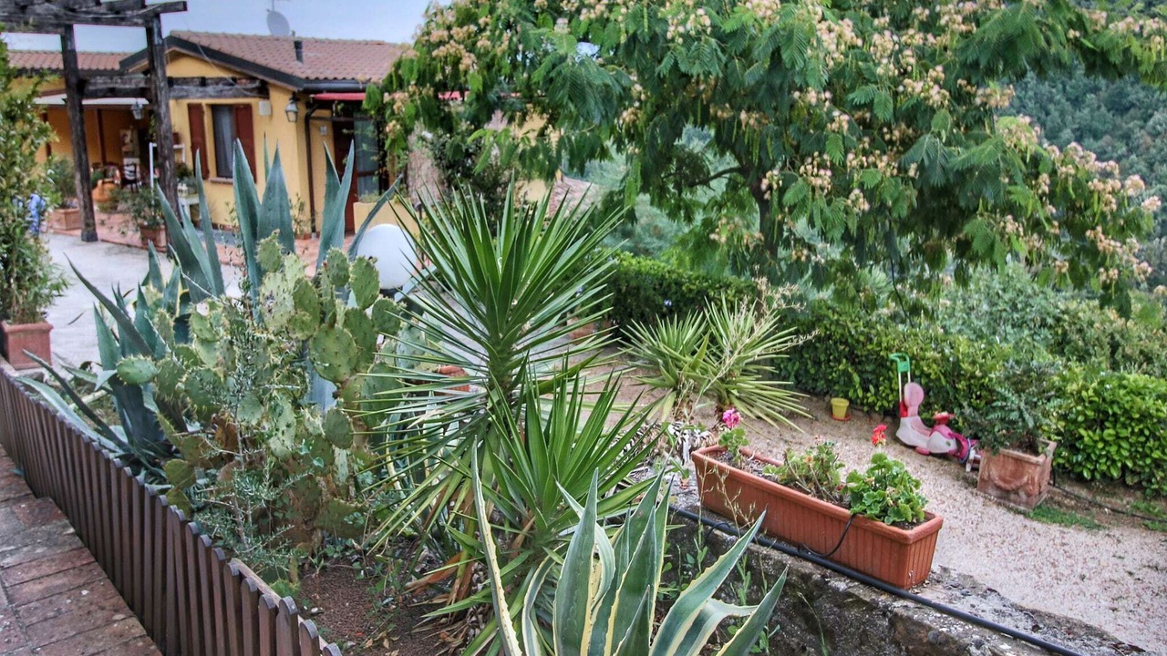 Photo of Others in Bettona