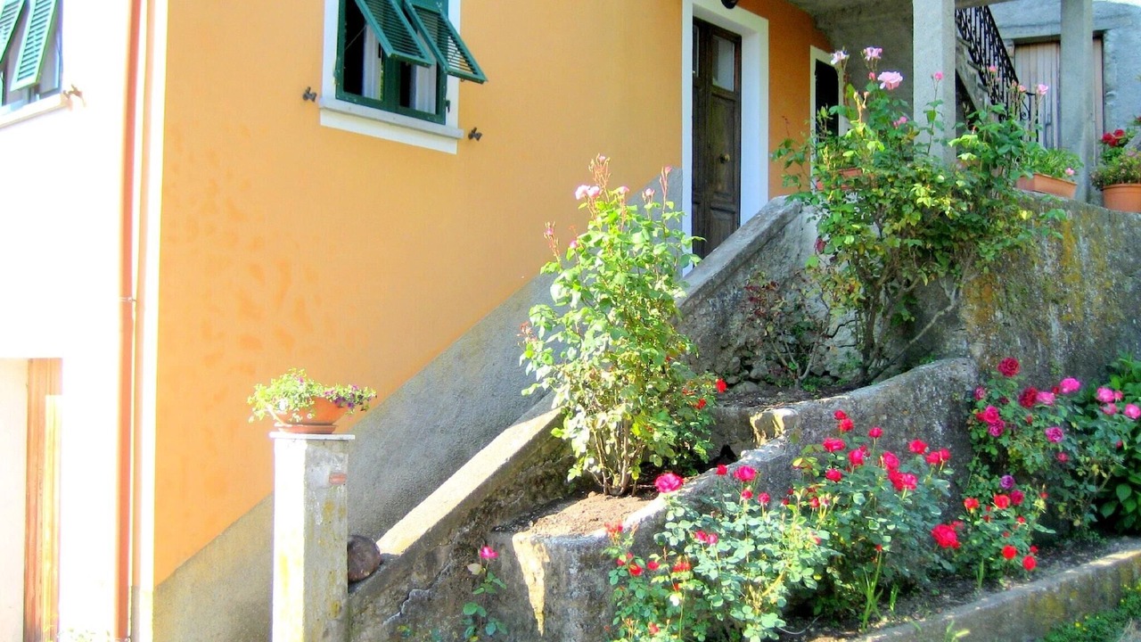 Photo of Outdoor in Sesta Godano