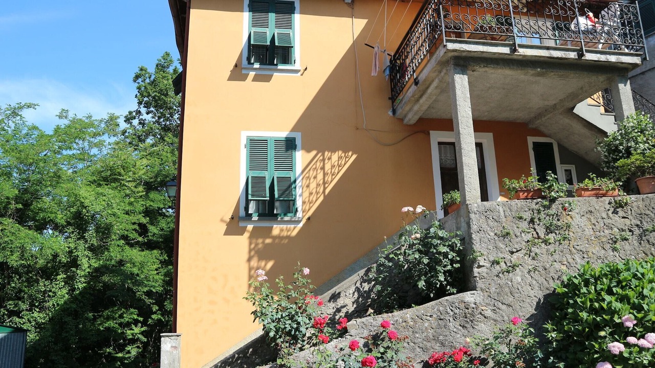 Photo of Outdoor in Sesta Godano