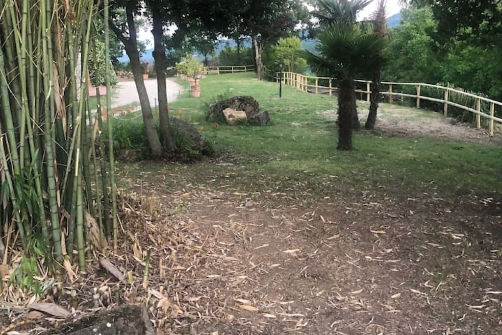 Photo of Outdoor in Borgo alla Collina