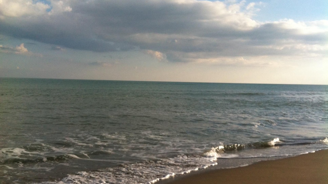 Photo of Others in Macchia