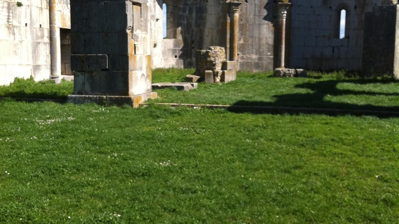 Photo of Others in Macchia