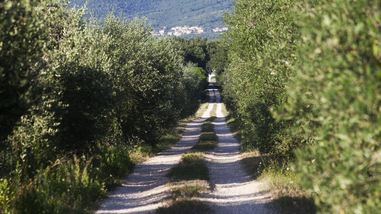 Photo of Outdoor in Ferretto