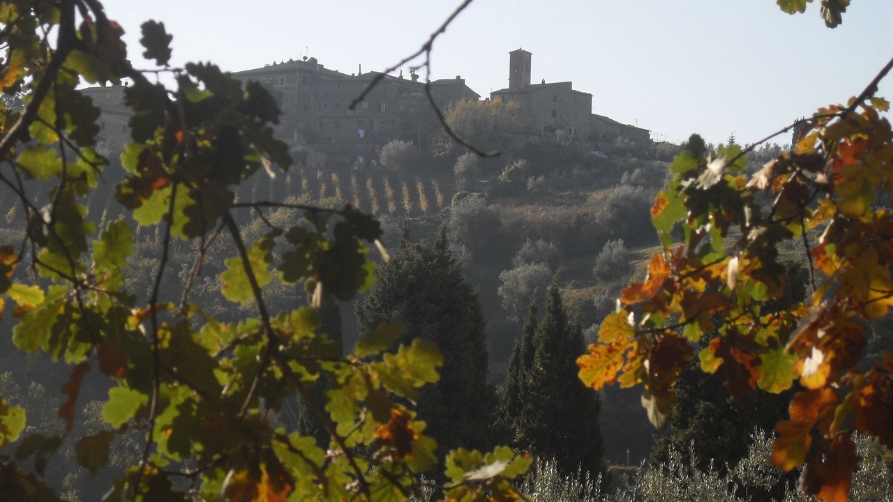 Photo of Outdoor in Castelnuovo dell'Abate