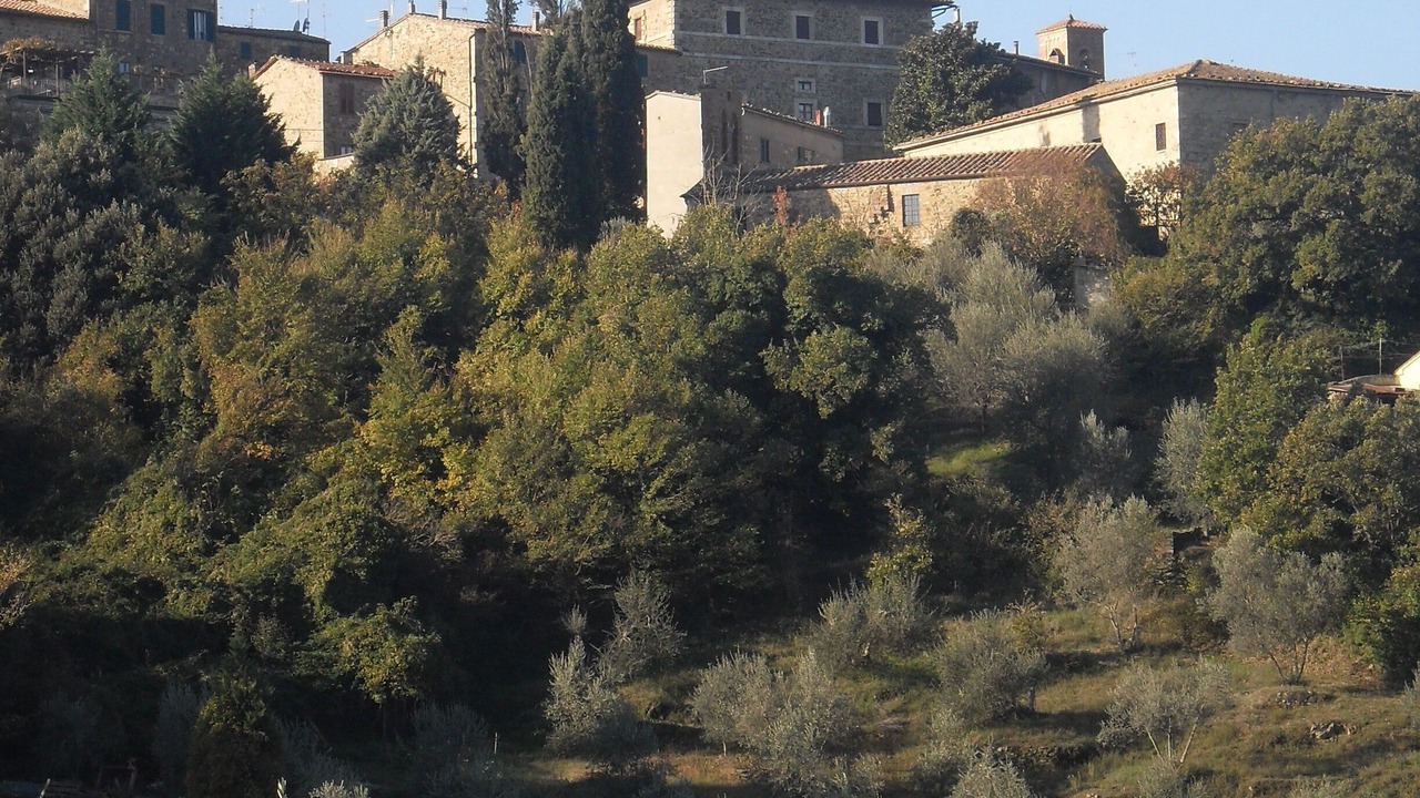 Photo of Outdoor in Castelnuovo dell'Abate