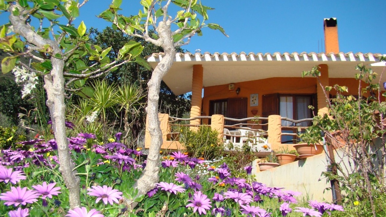 Photo of Outdoor in Solanas