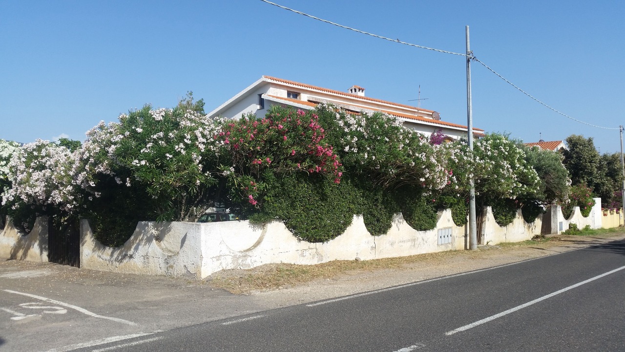 Photo of Others in Santa Caterina