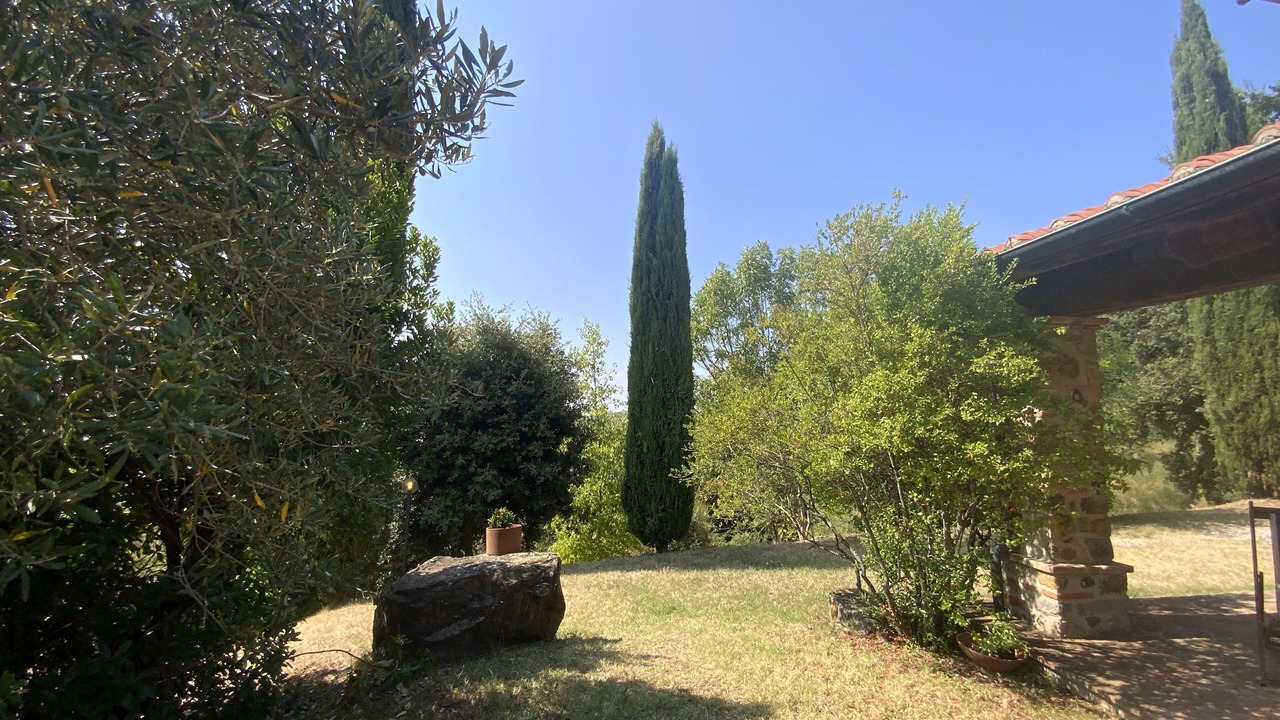 Photo of Outdoor in Massa Marittima