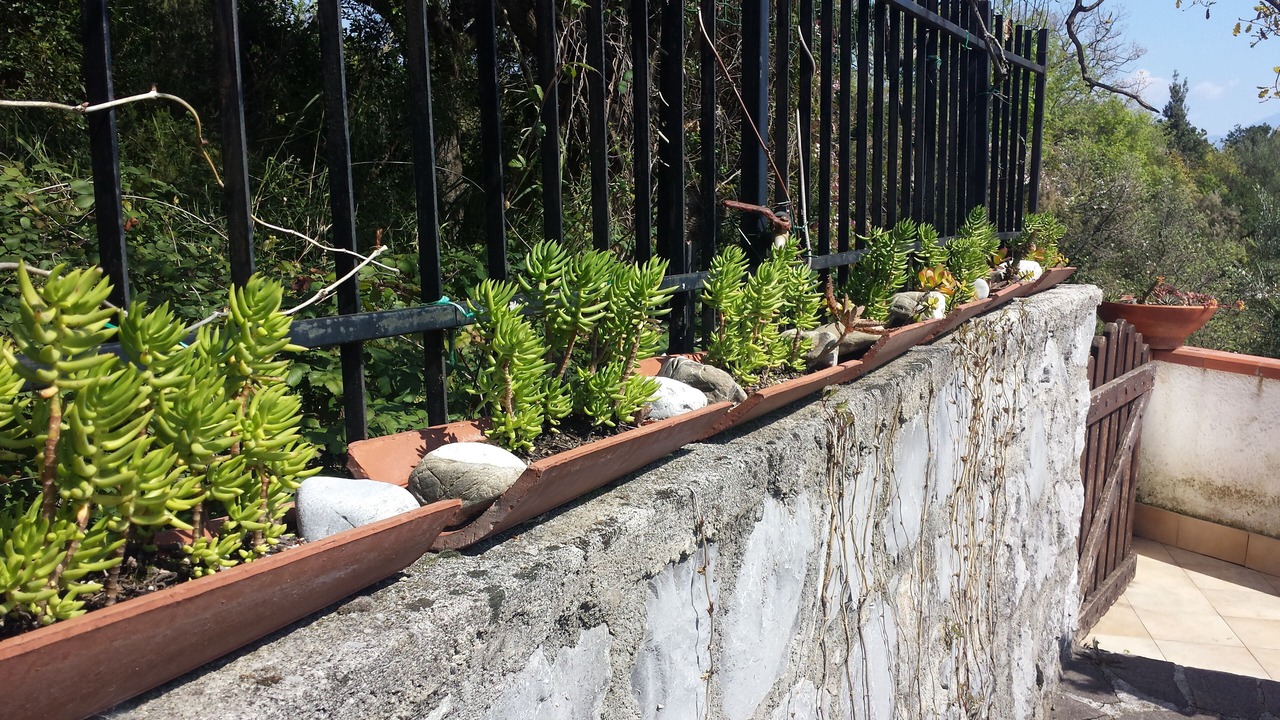 Photo of Outdoor in San Giovanni a Piro