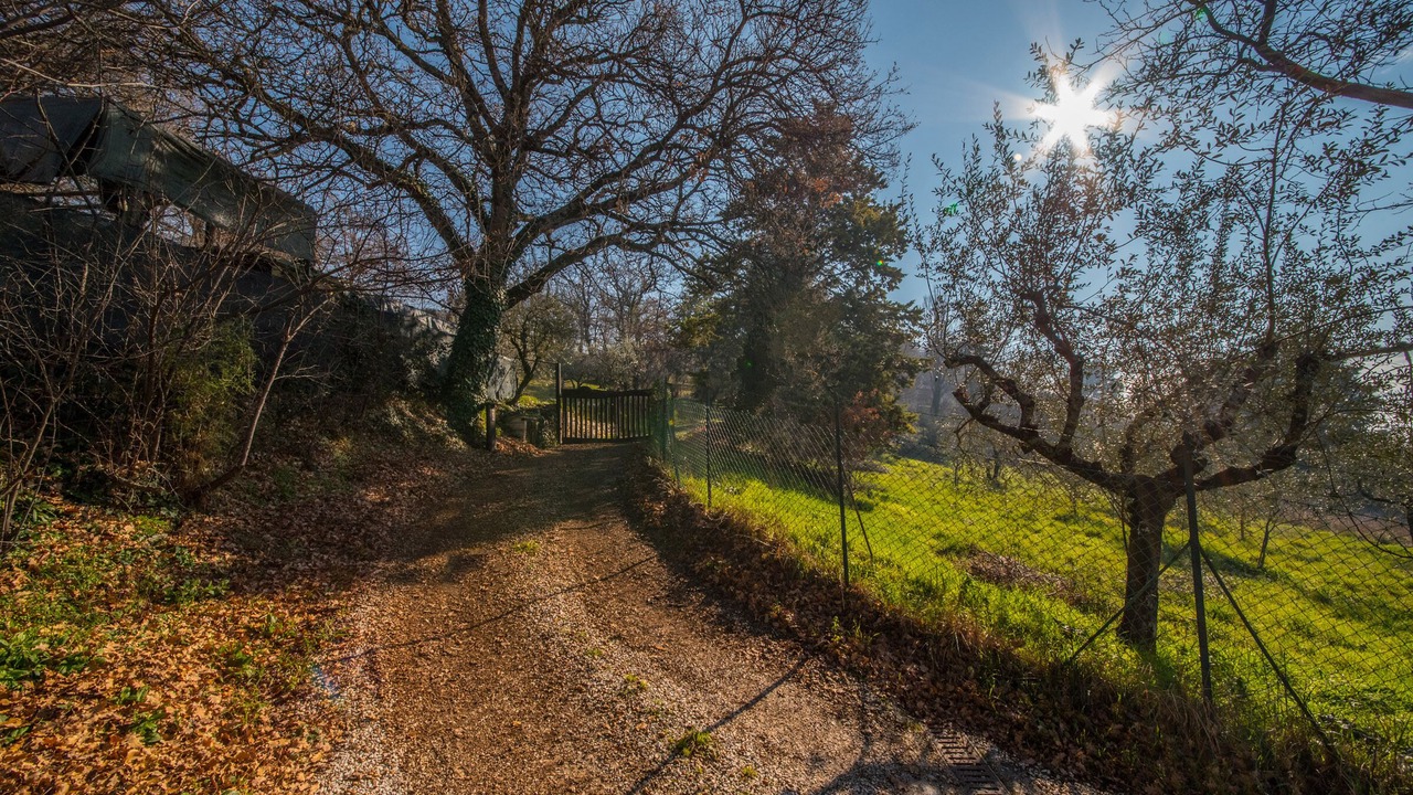Photo of Outdoor in Assisi