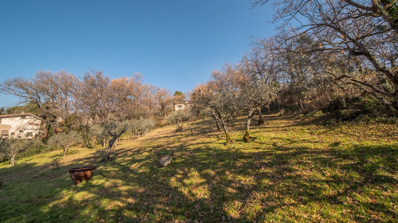 Photo of Outdoor in Assisi