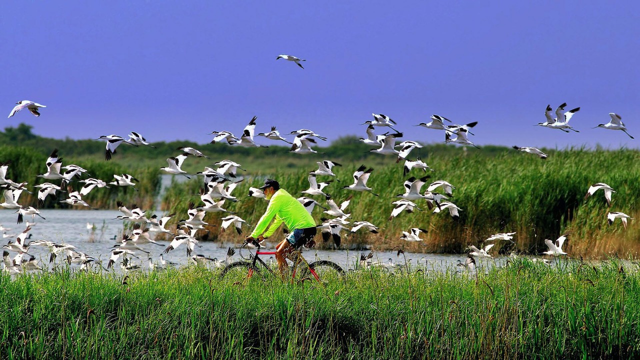 Photo of Outdoor in Codigoro