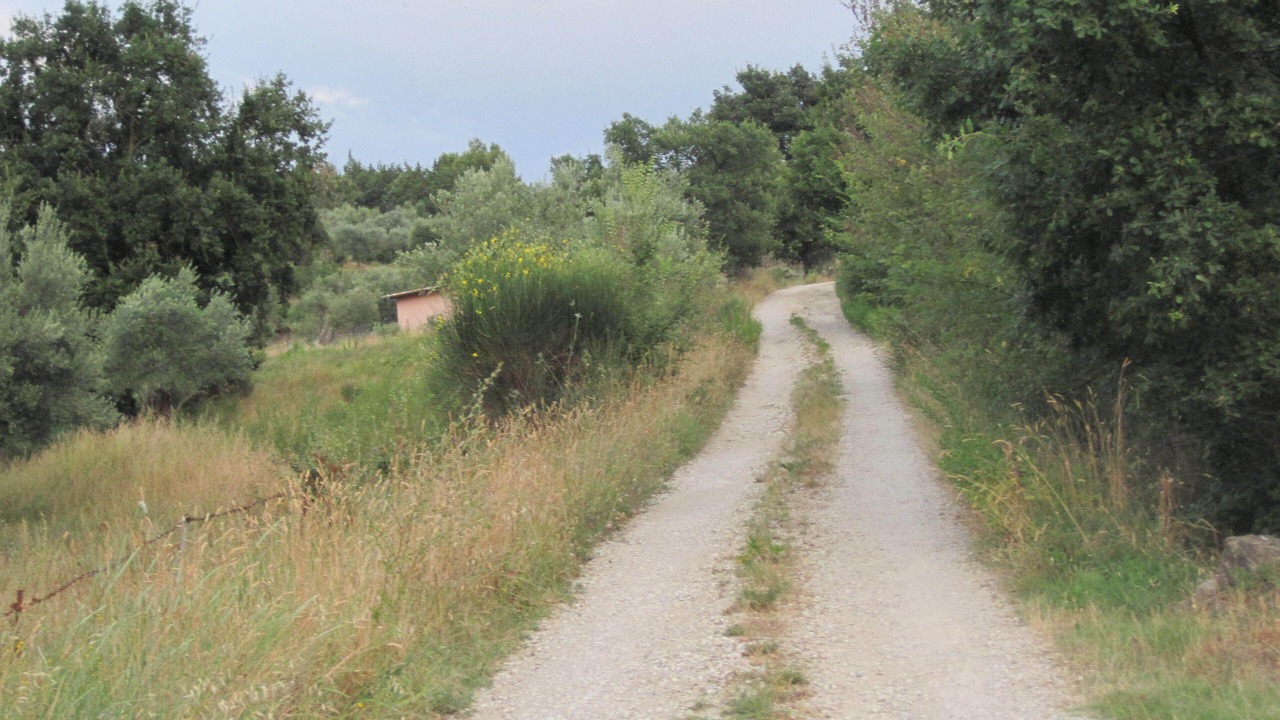 Photo of Outdoor in Passignano sul Trasimeno