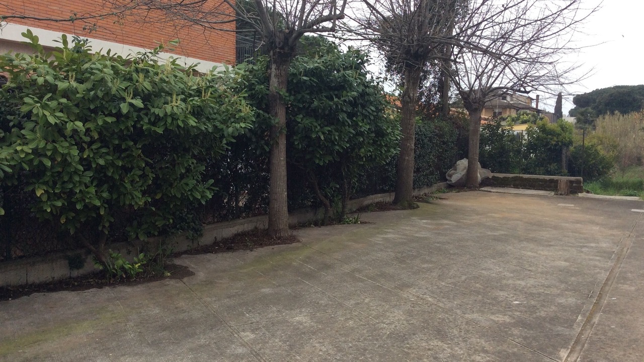 Photo of Outdoor in Latina Lido
