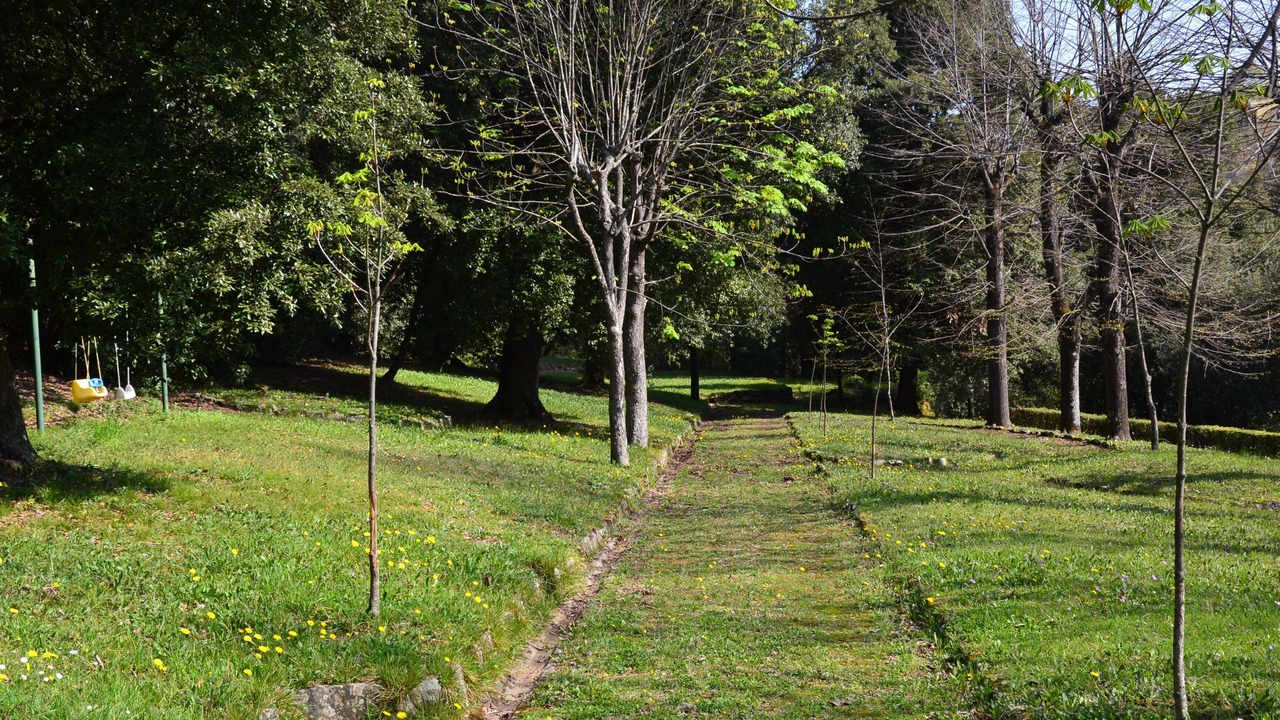 Photo of Outdoor in Florence