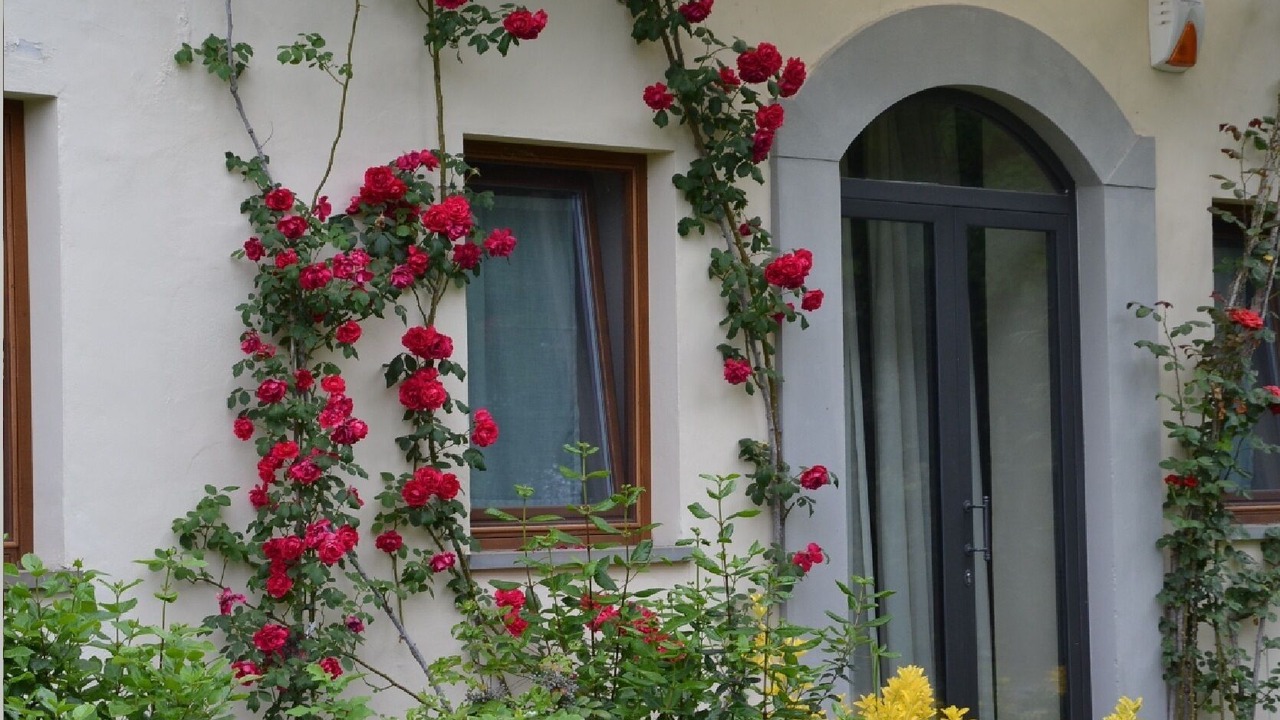 Photo of Outdoor in Florence