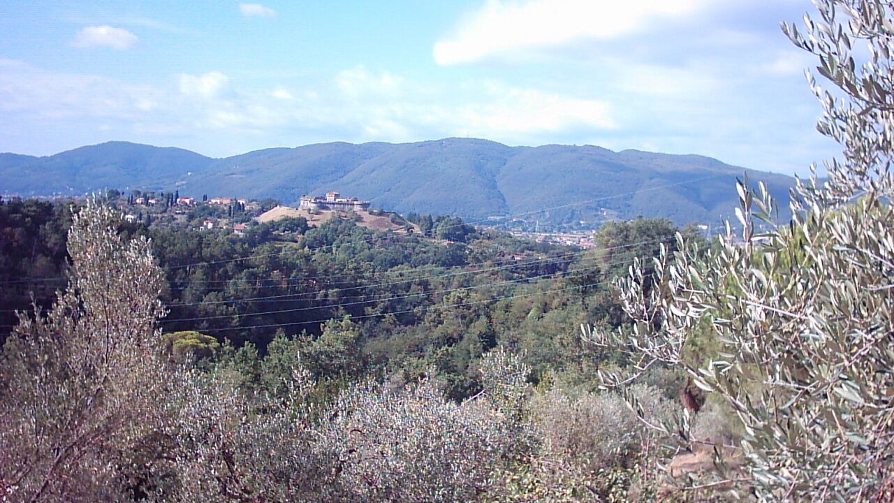 Photo of Others in Sarzana