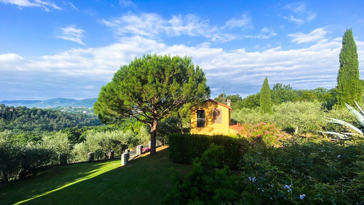 Photo of Outdoor in Sarzana