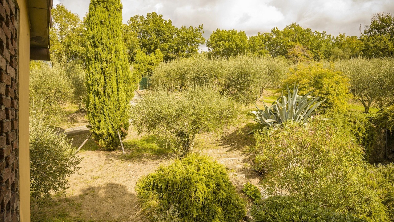 Photo of Outdoor in Sarzana