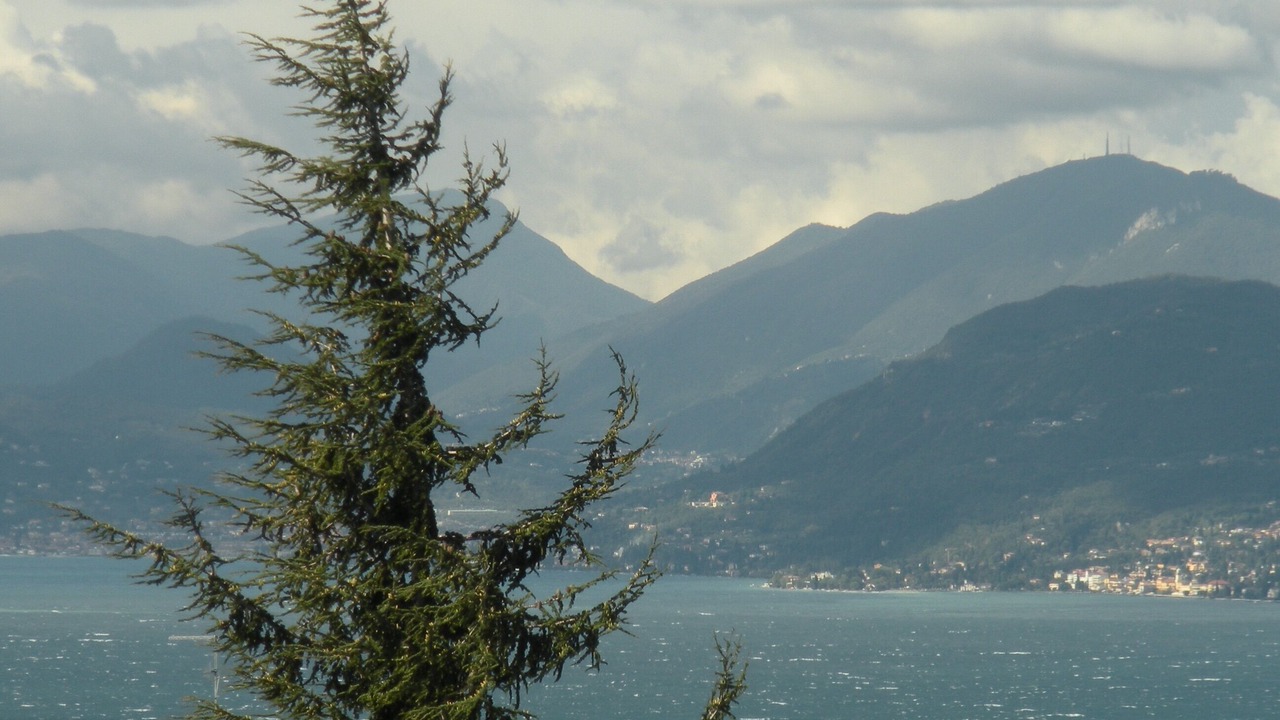 Photo of Others in Albisano