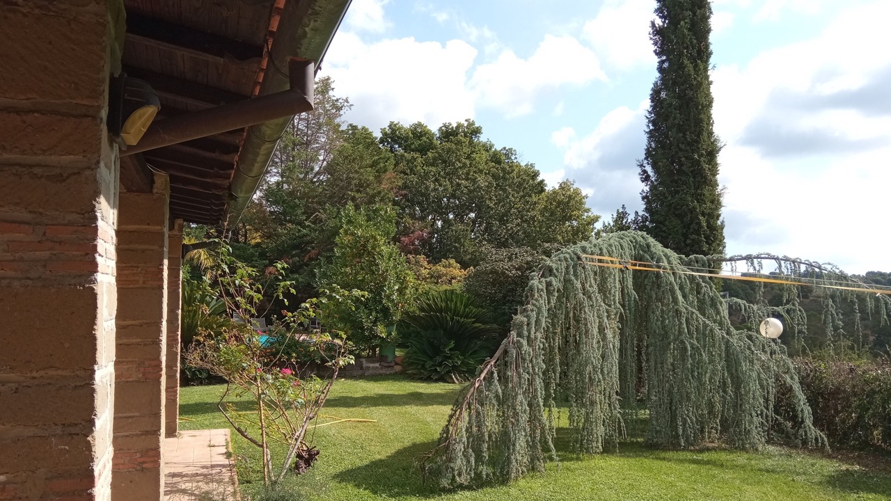Photo of Outdoor in Canale Monterano