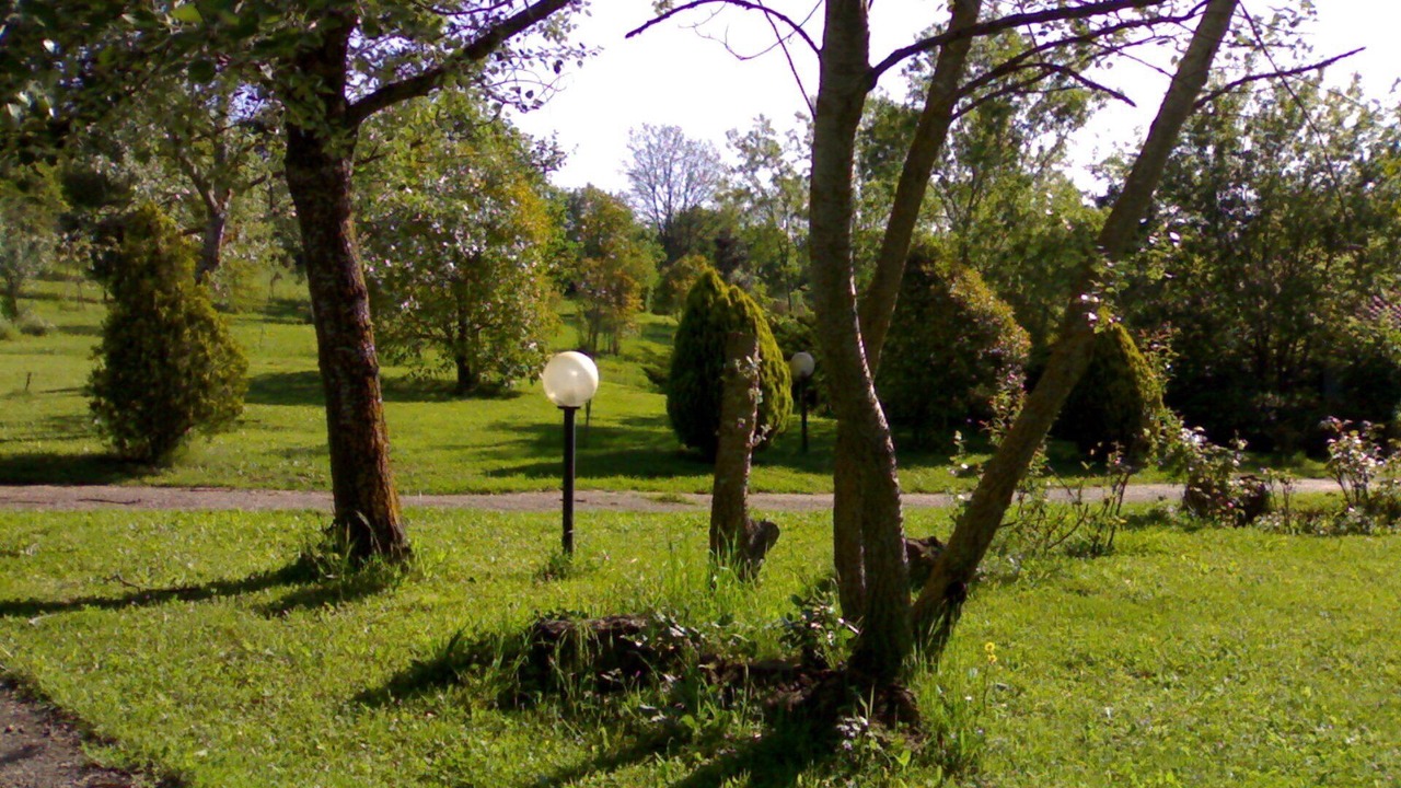 Photo of Outdoor in Canale Monterano