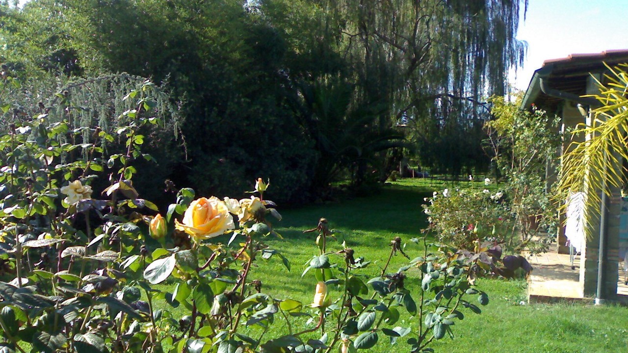Photo of Outdoor in Canale Monterano