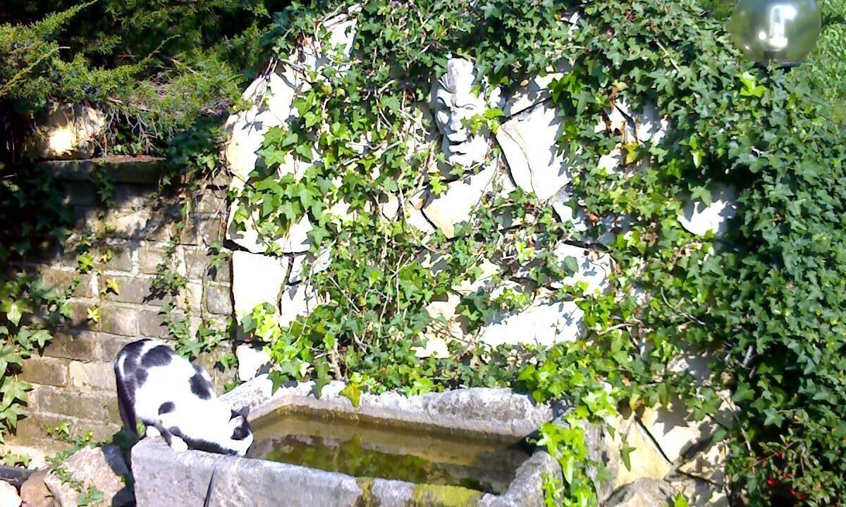 Photo of Outdoor in Canale Monterano