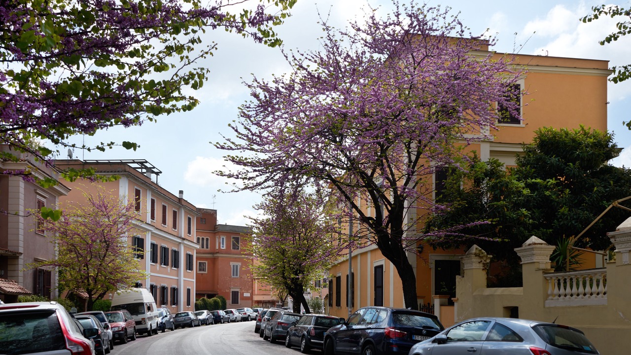 Photo of Others in Gianicolense