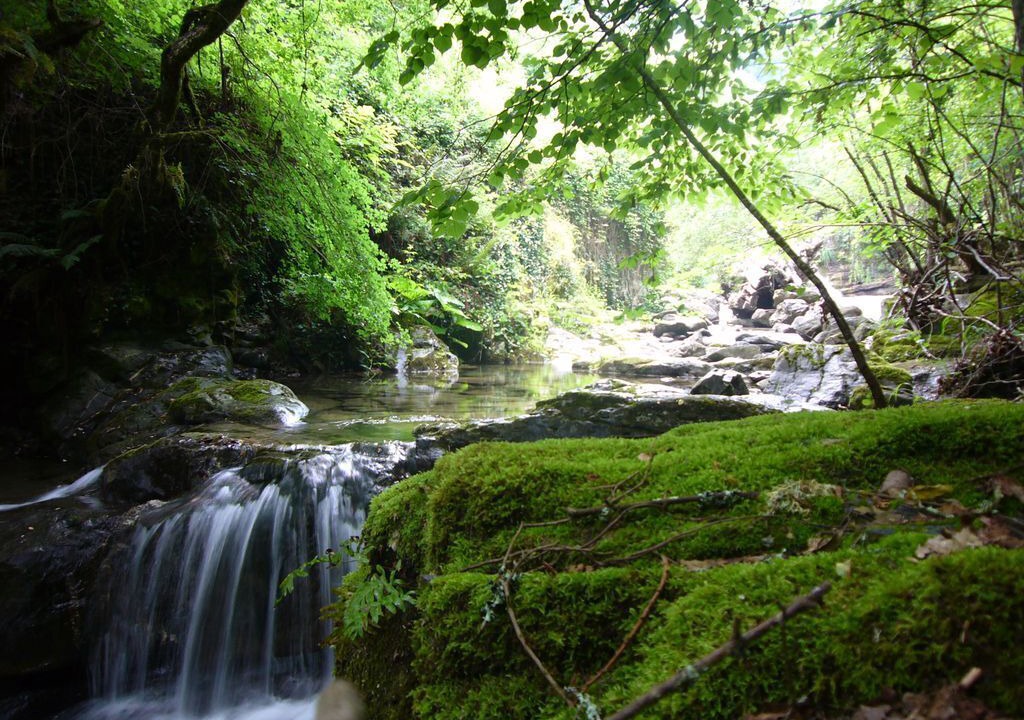Photo of Outdoor in Pigna