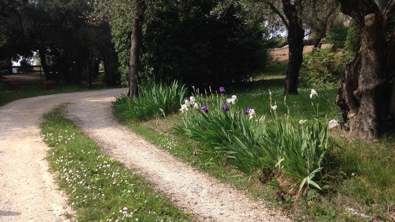 Photo of Outdoor in Garda