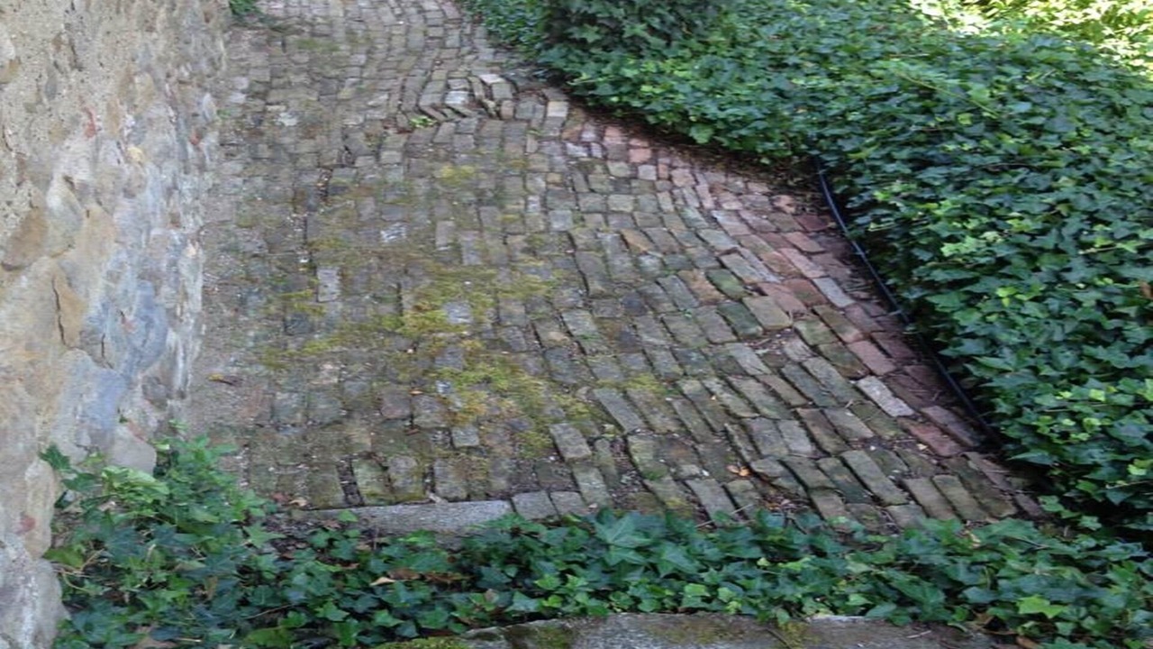 Photo of Outdoor in Piandimeleto