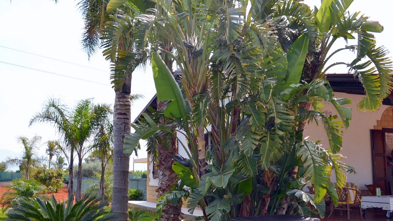 Photo of Outdoor in Partinico
