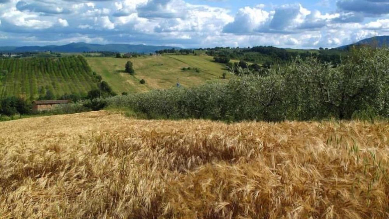 Photo of Others in San Mariano