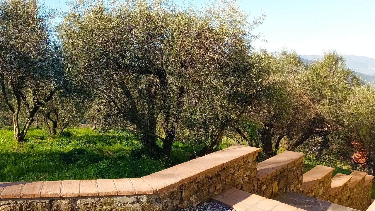 Photo of Outdoor in Podenzana