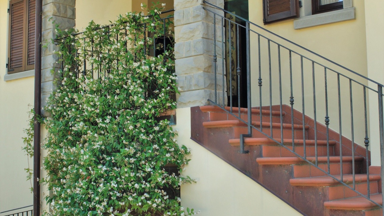 Photo of Outdoor in Pratovecchio