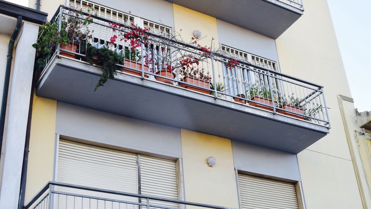Photo of Outdoor in Viareggio
